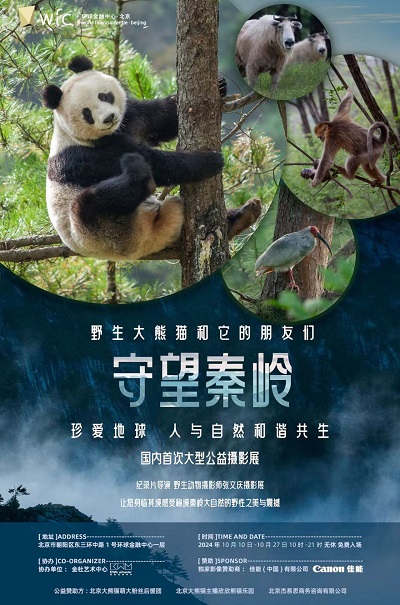 “守望秦岭 野生大熊猫和它的朋友们”大型公益摄影展聚焦环境保护与生物多样性监测